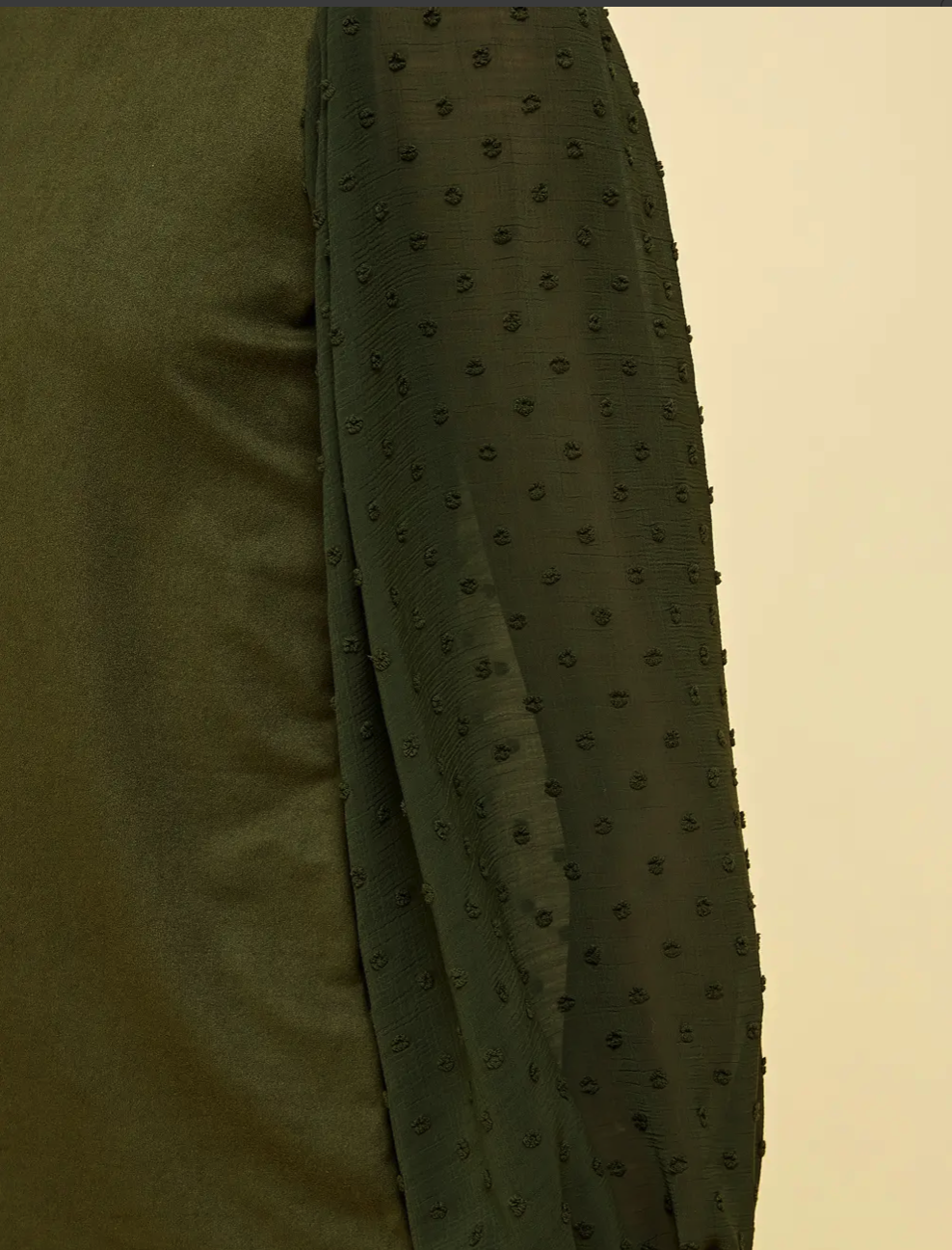 Top with Detailed  Swiss Dot Sleeves